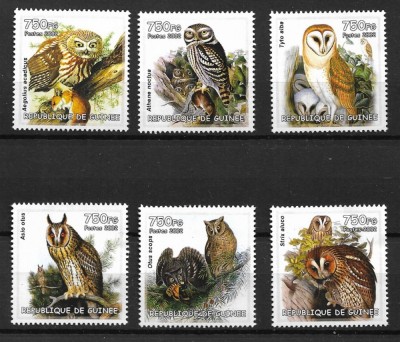 GUINEA 2002 FAUNA PASARI BUFNITE foto