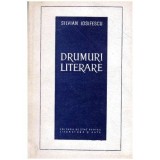Silvian Iosifescu - Drumuri literare - 103471