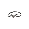 Kit distributie LANCIA DELTA II 836 CONTITECH CT931K1