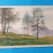 Carte Postala circulata veche anii 1920 - Peisaj - Munti