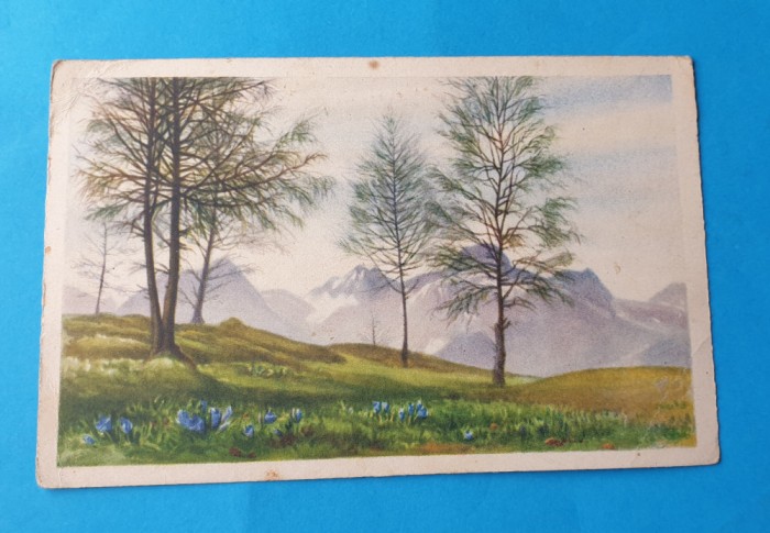 Carte Postala circulata veche anii 1920 - Peisaj - Munti