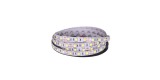 Banda LED 5050 Alb Rece 12V, 60 LED m, IP20, CE Contact Electric