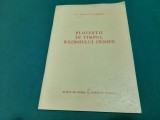 PLOIEȘTII &Icirc;N TIMPUL RĂZBOIULUI CRIMEII/ C.N. DEBIE, N.I. SIMACHE/ 1971