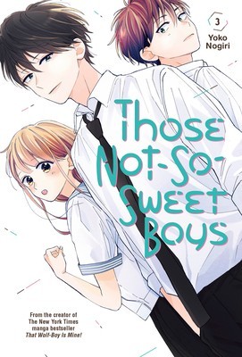 Those Not-So-Sweet Boys 3 foto