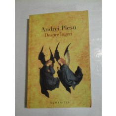 Despre ingeri - Andrei Plesu