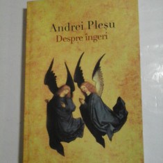 Despre ingeri - Andrei Plesu