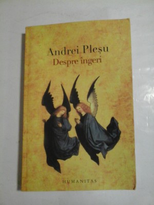 Despre ingeri - Andrei Plesu foto