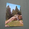 CARTE POSTALA CHILIA LUI DANIL SIHASTRUL DE LA PUTNA CIRCULATA