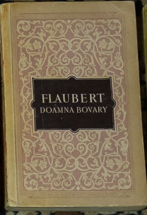 Gustave Flaubert - Doamna Bovary
