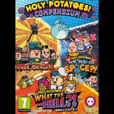 Holy Potatoes Compendium Badge Collector S Edition Nintendo Switch Game foto