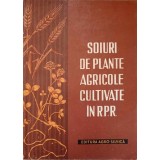 SOIURI DE PLANTE AGRICOLE CULTIVATE IN RPR-D. TORJE, I. STAN, V. DUMITRACHE, NICA AGNIA SI COLAB.-237259