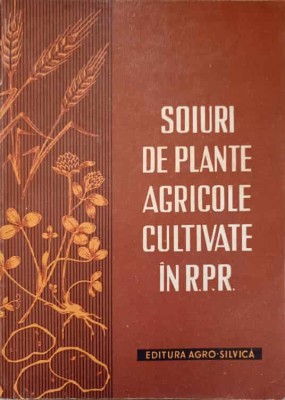 SOIURI DE PLANTE AGRICOLE CULTIVATE IN RPR-D. TORJE, I. STAN, V. DUMITRACHE, NICA AGNIA SI COLAB.-237259 foto