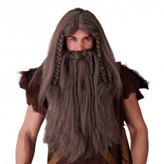 Peruca si Barba Viking
