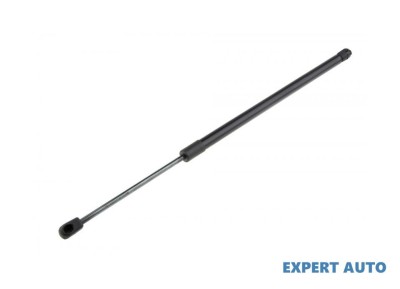 Amortizor gaz ridicare hayon portbagaj BMW 5 Touring (E61) 2004-2016 #1 foto