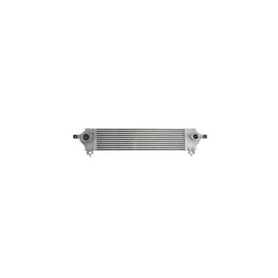 Intercooler NISSAN QASHQAI QASHQAI +2 J10 JJ10 AVA Quality Cooling DN4333 foto