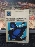 Tineret industrial. Dinamica integrării socioprofesionale Ovidiu Bădina 1973 134