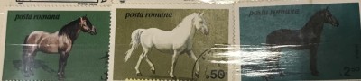 (F) Timbre Serii Romania Fauna Cai foto