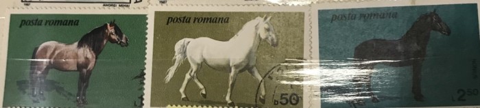 (F) Timbre Serii Romania Fauna Cai