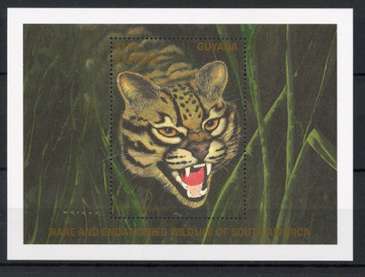 GUYANA 1990 FAUNA OCELOT foto