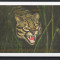 GUYANA 1990 FAUNA OCELOT