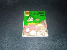 ELENA SELARU - FLORILE DIN GRADINA MEA