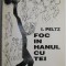Foc in hanul cu tei &ndash; I. Peltz