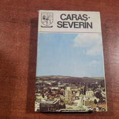 Caras-Severin. Monografie