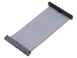 Cablu panglică SAMTEC IDC 76,2mm FFSD-25-D-03.00-01-N-R cu conectori IDC ambele părți