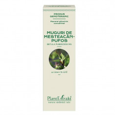 Concentrat Muguri Mesteacan Pufos 15ml PlantExtrakt