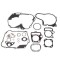 Set complet garnituri ATV 110cc