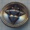 AX 1174 NASTURE METALIC MASONIC ? - CRUCEA SAGITARA -PENTRU COLECTIONARI