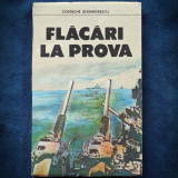 FLACARI LA PROVA - COSTACHE ALEXANDRESCU