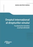 Dreptul International Drepturile Omului Fundamente Teoretice Jurisprudentiale Carte Paperback Hamangiu