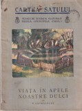 V. Grimalschi - Viata in apele noastre dulci. Cu vedere dupa o panza de Stefan