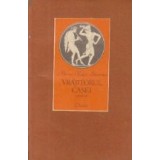 Vrajitorul casei - roman -