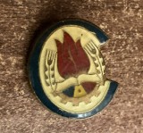 QW9 N8 92 - Insigna - tematica pionieri - comunism RSR - Stema pionierilor - varianta cu decupaj