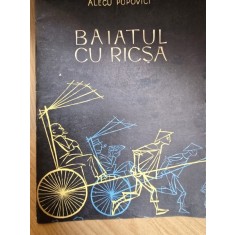 Baiatul cu ricsa - Alecu Popovici. Ilustratii Lucaci Ethel Baies
