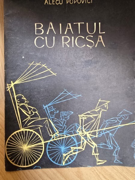 Baiatul cu ricsa - Alecu Popovici. Ilustratii Lucaci Ethel Baies