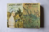 Nemeth Laszlo - Indurare ( 2 vol. )