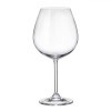 Pahar Vin Cristal Bohemia 650ml, Transparent, Inaltime 22.5cm, Diametru 10cm, Pahar cu Picior