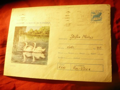 Plic ilustrat - Animale Ocrotite -Lebede cod 95/77 foto