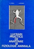 Cumpara ieftin Lucrări practice de anatomie și fiziologie animală - 1974 - M. Stoica (A416)