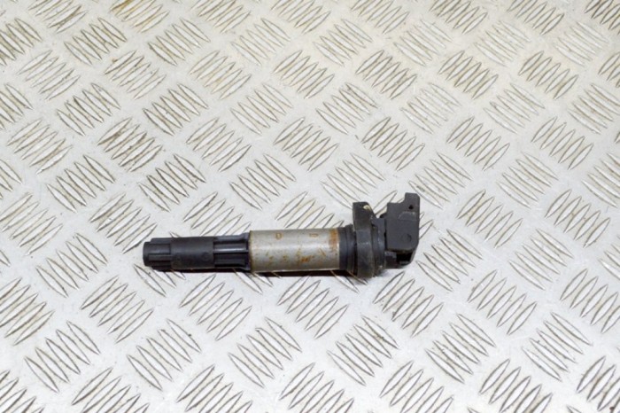 Bobina de inducție de &icirc;naltă tensiune BMW 7 E65, E66, E67 2003 OEM: 1220703201,4485298,0221504100 13809785