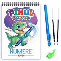 Pixul Fermecat. Numere - Inesa Tautu
