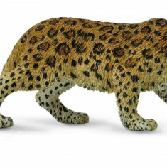 Figurina Leopard de Amur XL Collecta