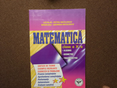 Matematica clasa a X a- Catalin Petru Nicolescu, Madalina Georgia Nicolescu foto