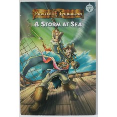 PIRATES OF THE CARIBBEAN , A STORM AT SEA by BESS BONES , 2007