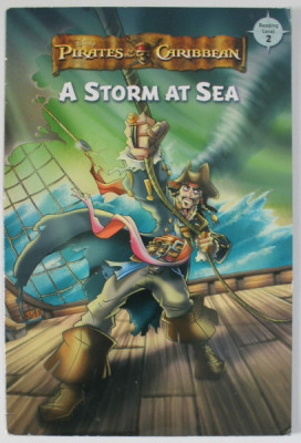 PIRATES OF THE CARIBBEAN , A STORM AT SEA by BESS BONES , 2007 foto