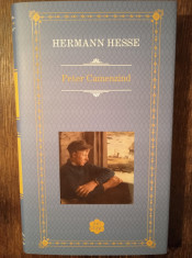 Peter Camenzind - Hermann Hesse foto