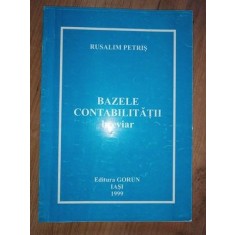 Bazele contabilitatii Breviar - Rusalim Petris